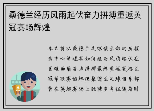 桑德兰经历风雨起伏奋力拼搏重返英冠赛场辉煌