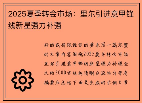 2025夏季转会市场：里尔引进意甲锋线新星强力补强