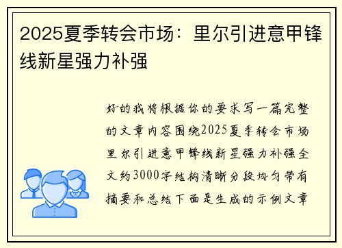 2025夏季转会市场：里尔引进意甲锋线新星强力补强