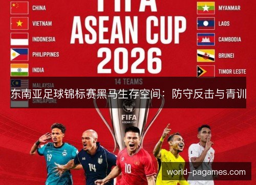 东南亚足球锦标赛黑马生存空间：防守反击与青训